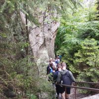 503873214 1286370926825212 n