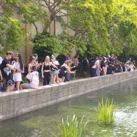 504879615 1286369493492022 n